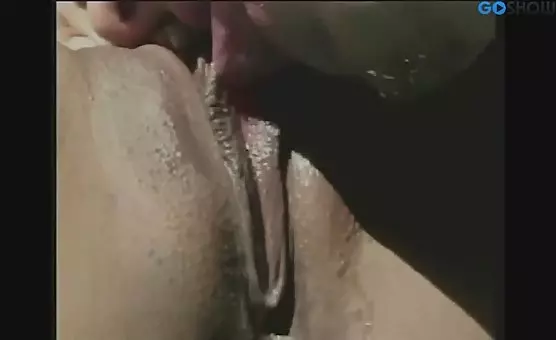 Poolside Pleasures Wet and Wild Couples Oral and Intercourse